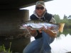 Rainbow from Bavaria, caught on Dryfly!